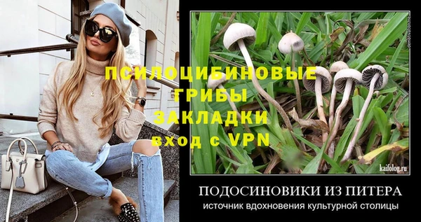 Альфа ПВП Алексеевка
