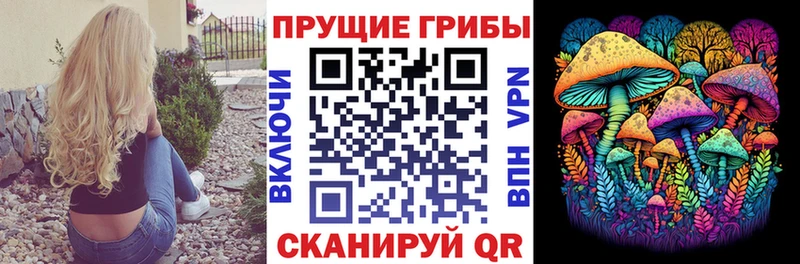 Псилоцибиновые грибы MAGIC MUSHROOMS  Энгельс 