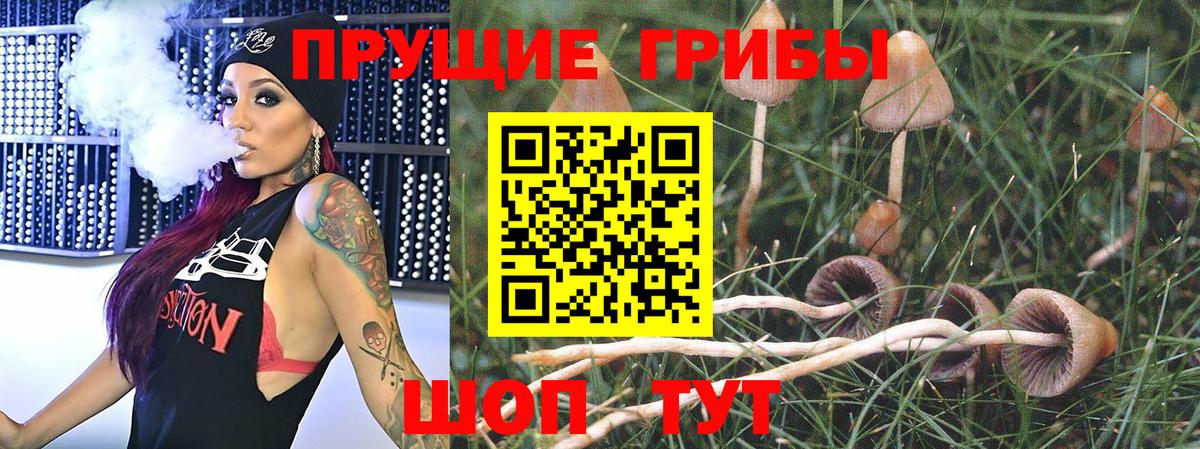 Энгельс  Псилоцибиновые грибы Cubensis  Галлюциногенные грибы ЛСД  Вход с VPN 